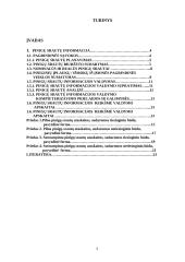 Pinigų srautų ataskaita 3 puslapis