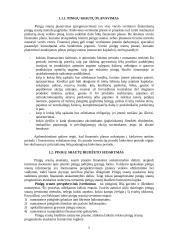 Pinigų srautų ataskaita 5 puslapis