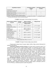 Pinigų srautų ataskaita 10 puslapis