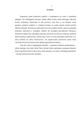 Planavimas 2 puslapis