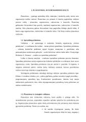 Planavimas 3 puslapis