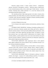 Planavimas 6 puslapis