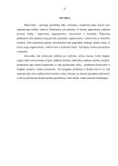 Planavimo esmė, procesas 12 puslapis