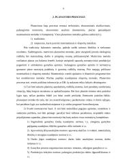 Planavimo esmė, procesas 6 puslapis