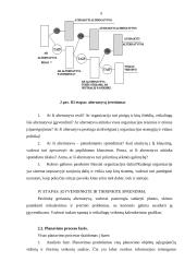 Planavimo esmė, procesas 9 puslapis