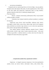 Planavimo reikšmė, planų sistema, planų hierarchija 2 puslapis