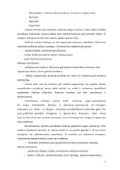 Planavimo reikšmė, planų sistema, planų hierarchija 5 puslapis