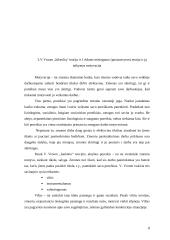 Planavimo reikšmė, planų sistema, planų hierarchija 8 puslapis