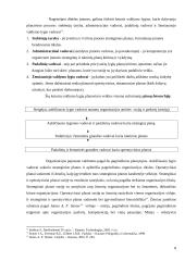 Planavimas. Planavimo sudedamosios dalys 8 puslapis