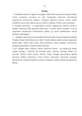 Planavimo esmė 13 puslapis