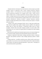 Planavimo esmė 3 puslapis