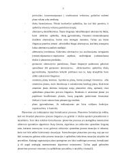 Planavimo esmė 5 puslapis