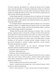 Planavimo esmė 10 puslapis