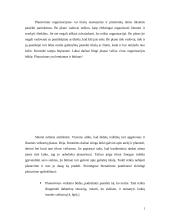 Planų įvairovė, jų sudarymo ypatybės 2 puslapis