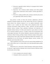 Planų įvairovė, jų sudarymo ypatybės 3 puslapis