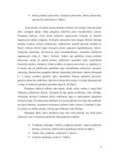 Planų įvairovė, jų sudarymo ypatybės 4 puslapis