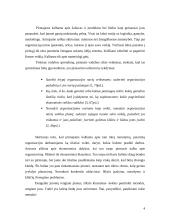 Planų įvairovė, jų sudarymo ypatybės 5 puslapis