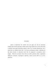 Planų įvairovė, jų sudarymo ypatybės 8 puslapis