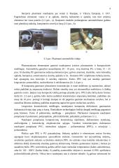 Plastmasių panaudojimas transporte 4 puslapis