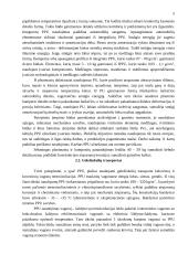 Plastmasių panaudojimas transporte 5 puslapis