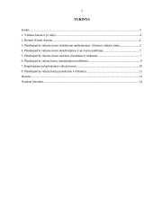 Plaukiojantys valiutų kursai. Jų raida ir atvejai įvairiose šalyse 2 puslapis