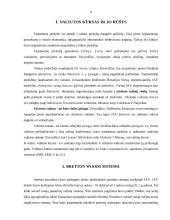 Plaukiojantys valiutų kursai. Jų raida ir atvejai įvairiose šalyse 4 puslapis