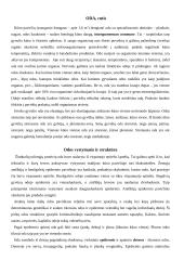 Plaukuota ir neplaukuota oda 2 puslapis