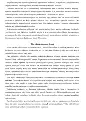 Plaukuota ir neplaukuota oda 4 puslapis