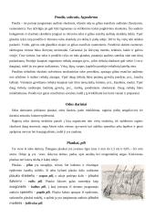 Plaukuota ir neplaukuota oda 5 puslapis