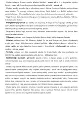 Plaukuota ir neplaukuota oda 6 puslapis