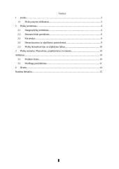 Plyšių įvertinimas ir remontas