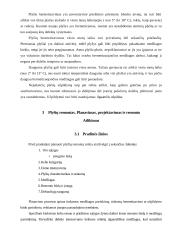 Plyšių įvertinimas ir remontas 11 puslapis