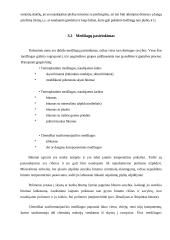 Plyšių įvertinimas ir remontas 12 puslapis