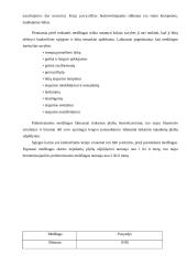 Plyšių įvertinimas ir remontas 13 puslapis