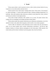 Plyšių įvertinimas ir remontas 15 puslapis