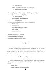 Plyšių įvertinimas ir remontas 3 puslapis