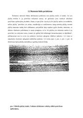 Plyšių įvertinimas ir remontas 6 puslapis