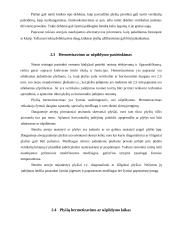 Plyšių įvertinimas ir remontas 10 puslapis