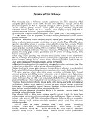 Poilsio ir turizmo paslaugų vystymosi tendencijos Lietuvoje 11 puslapis
