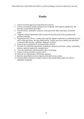 Poilsio ir turizmo paslaugų vystymosi tendencijos Lietuvoje 13 puslapis