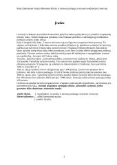 Poilsio ir turizmo paslaugų vystymosi tendencijos Lietuvoje 3 puslapis