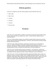 Poilsio ir turizmo paslaugų vystymosi tendencijos Lietuvoje 9 puslapis