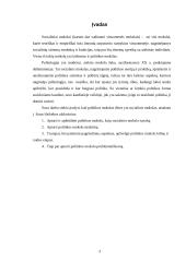 Ar politikos mokslas yra socialinis mokslas? 3 puslapis