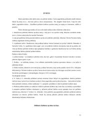 Politinės kultūros sąvokos, turinys 2 puslapis