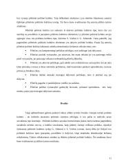 Politinės kultūros sąvokos, turinys 8 puslapis