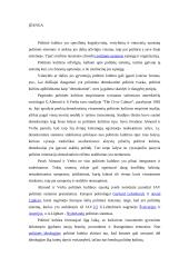 Politinės kultūros ir dalyvavimo Lietuvoje apžvalga 2 puslapis