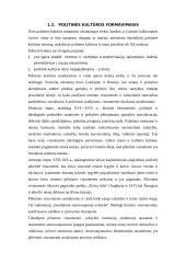 Politinės kultūros ir dalyvavimo Lietuvoje apžvalga 5 puslapis