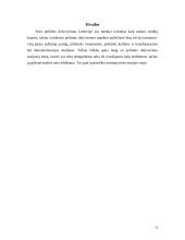 Politinis dalyvavimas Lietuvoje 6 puslapis