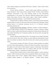 Politinių partijų "transeuropeizacijos" fenomenas europinės integracijos įtakoje 10 puslapis