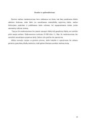 Popieriaus pjovimo mašinos modernizavimas 10 puslapis